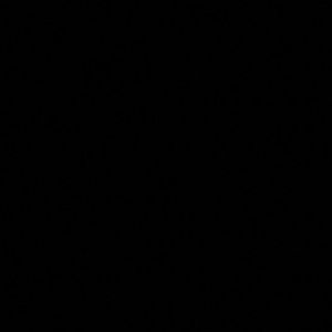 Meet your Posher, Gabby